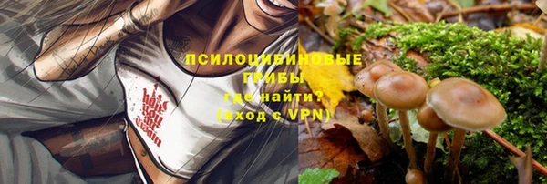 a pvp Алексеевка