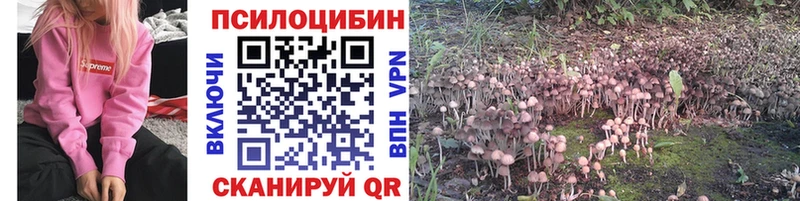 Псилоцибиновые грибы прущие грибы  Кропоткин 